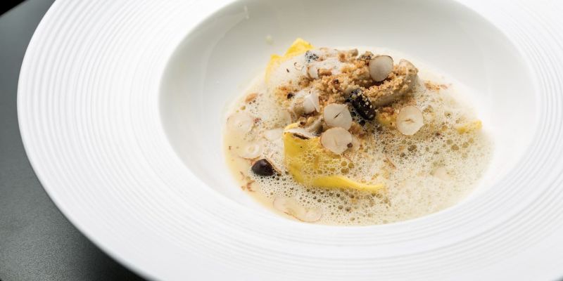 Balanzoni au Parmigiano Reggiano: La Nouvelle Création de Surgital pour une Expérience Culinaire Intemporelle