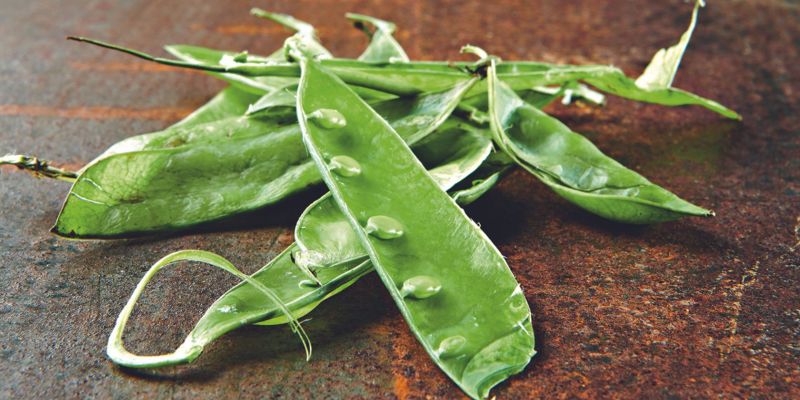 5 consigli per una cucina professionale Zero Waste