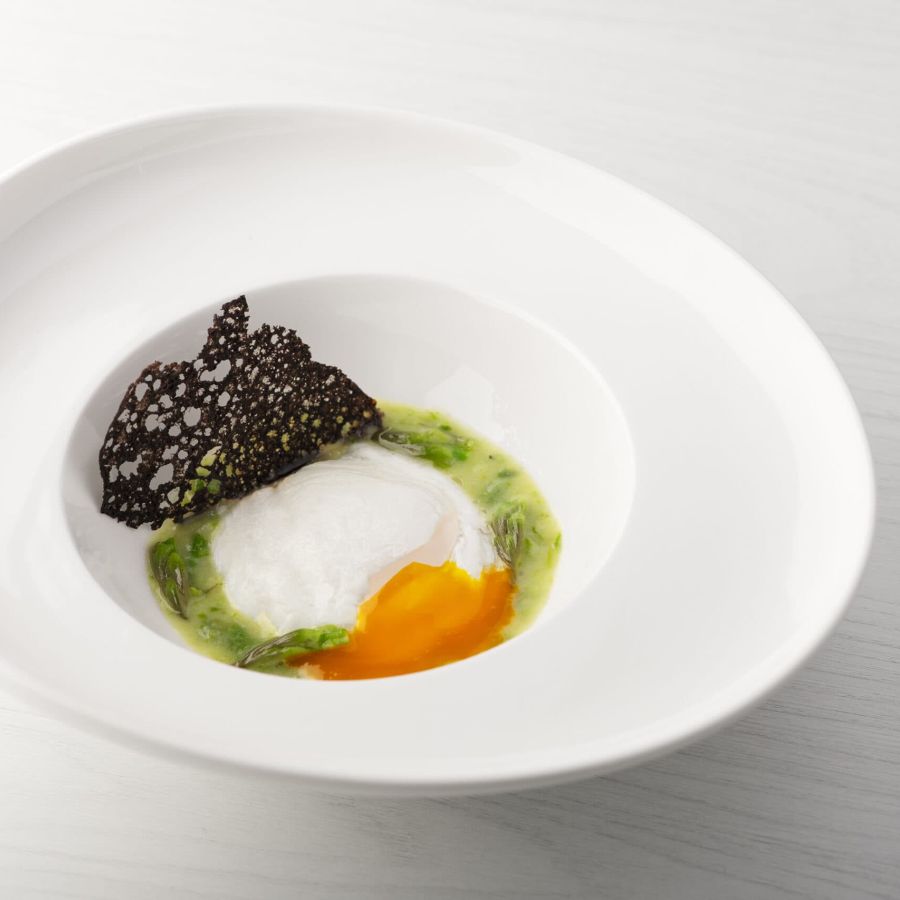 Asparagus soup, soft egg and black truffle coral