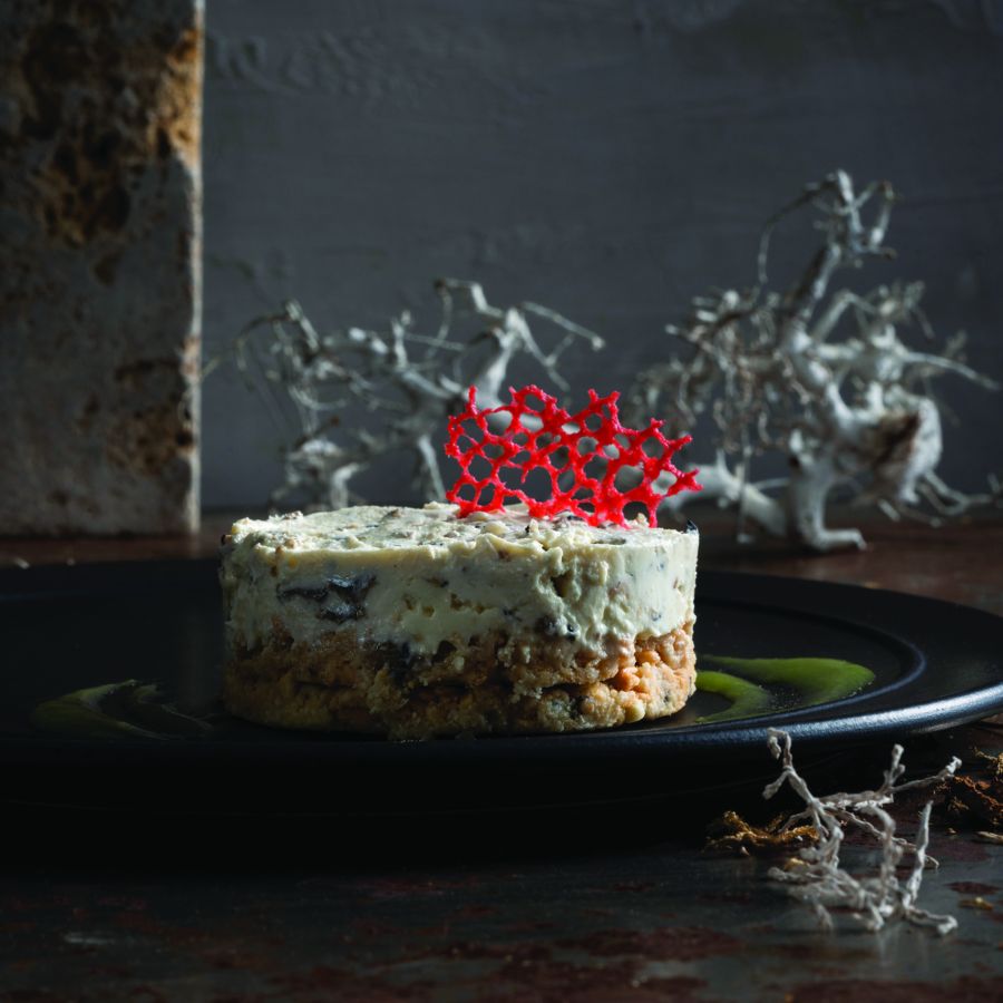 Käsekuchen mit Trüffel, Kressesauce, Rote-Bete-Krokant